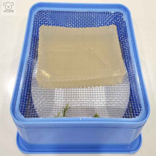 리치점빵 사각 묵채 우뭇가사리채반 우뭇가사리채망, 사각묵채, 1개