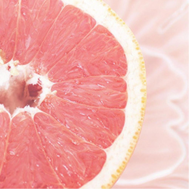 태양열 회전 전투기 차량용방향제 주차번호판 명품방향제 실내 호환, 헤스페리데스 자몽, 1개