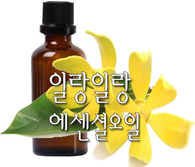 허니솝 일랑일랑 아로마 에센셜오일, 일랑일랑 에센셜오일 30ml, 1개 - 쿠팡