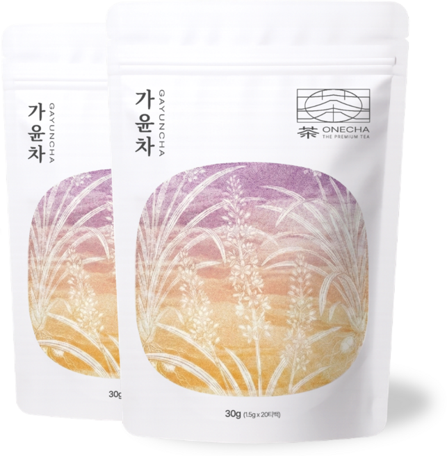원차 도라지 맥문동차 가윤차 생맥산 도라지 황기, 2개, 20개입, 1.5g