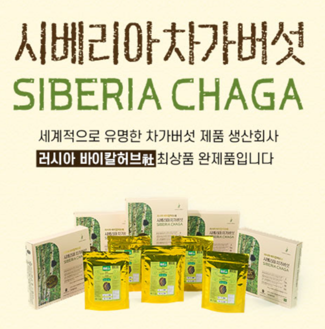 차가버섯 최고등급 고농축 추출분말100g 동결건조 바이칼허브 진품 시베리아차가버섯, 100g, 5개