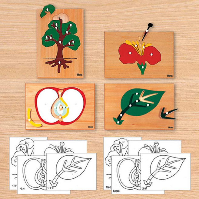 하나몬테소리 [하나몬테소리]식물퍼즐, 1개