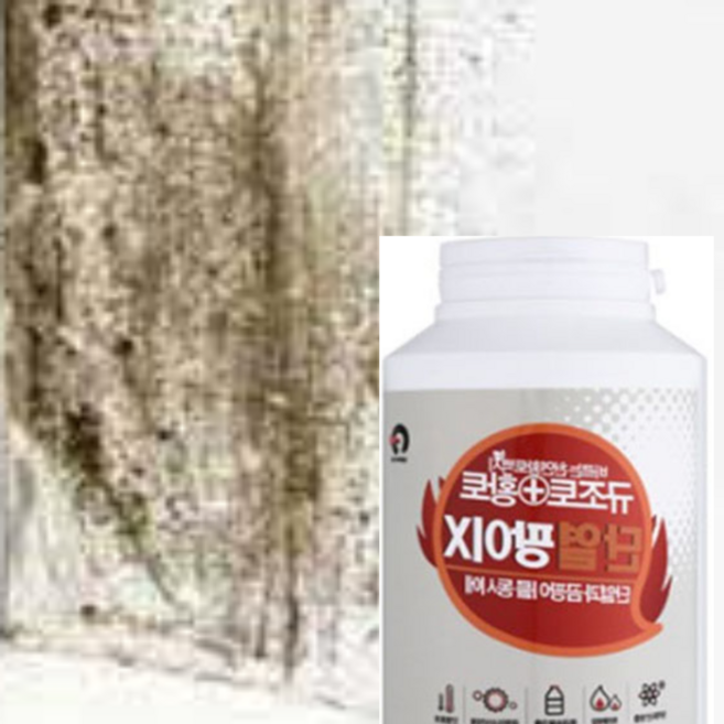 석고보드곰팡이제거 벽지복원제 붓으로바르는곰팡이 붓으로바르는곰팡이제거 벽지얼룩제거제 니코틴제거제, 1개, 바이올렛