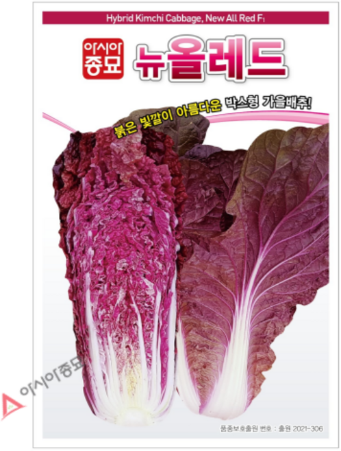 아시아종묘 씨앗 배추 뉴올레드 100립, 1개