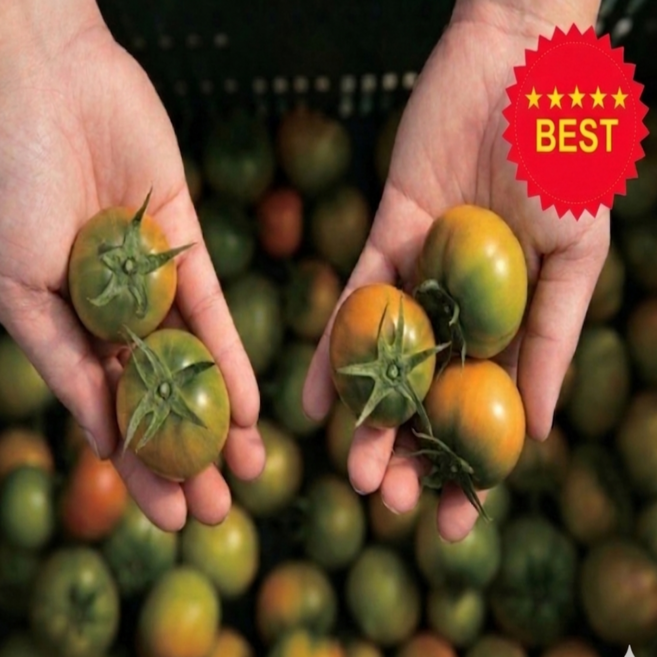 [농장직송] 정품인증 대저 짭짤이 토마토 프리미엄 특품 2S 로얄과 2.5kg 1박스, 대저짭짤이특품 ( 3S ) 2.5kg