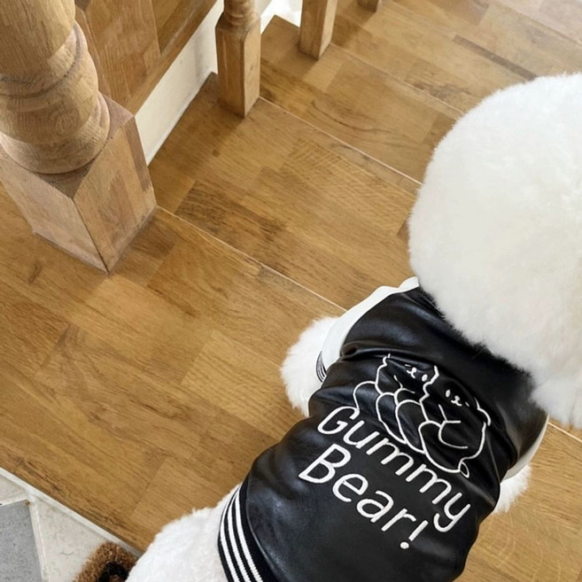 강아지 청바지 멜빵바지 데님 오버롤 애견의류 귀여운 반려견 옷.귀여운 청멜빵 디자인 / 사계절 산책룩 / 포토존 인기템