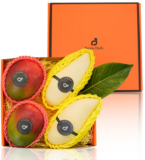 가정의달 명품 과일 당일발송 망고 프리미엄 고당도 혼합망고 쁘띠 선물세트 (4입 1.8kg~2kg 내외), 1개