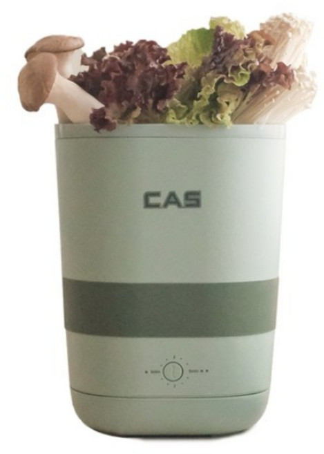 3세대 카스 과일 야채 초음파 세척기 5L대용량 /안경 귀금속 세척 /구성품(실리콘덮개+촘촘바스켓 2개), 그린