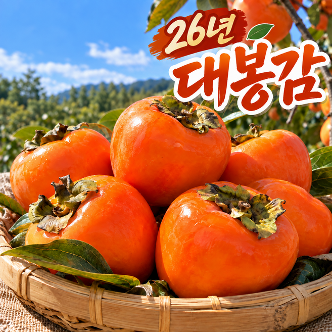 3위 - (구매특가) 26년 대봉감 출시 고당도 프리미엄 대봉감 산지직송, 1개, 5kg