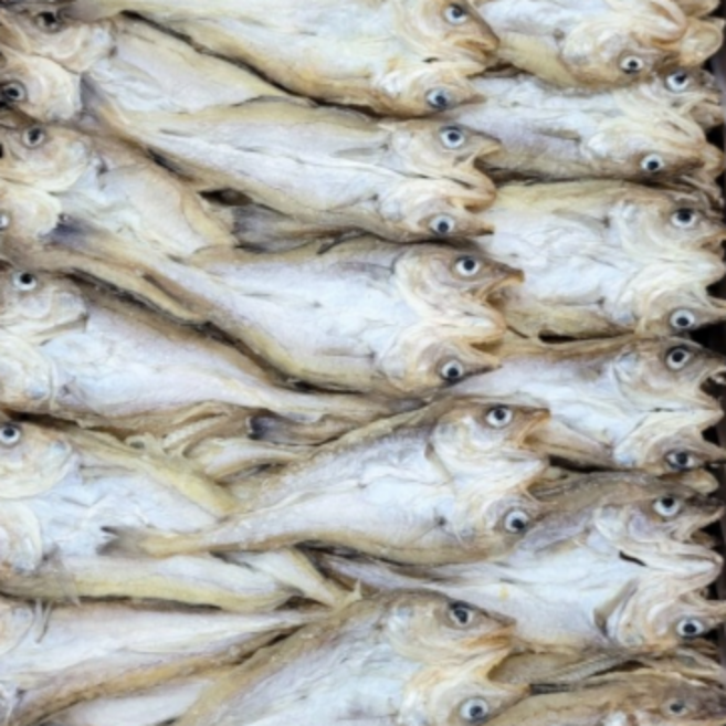 [인생건어물] 반건조 편노가리 1KG 건어물 노가리 소 사이즈 대용량 업소용, 1개