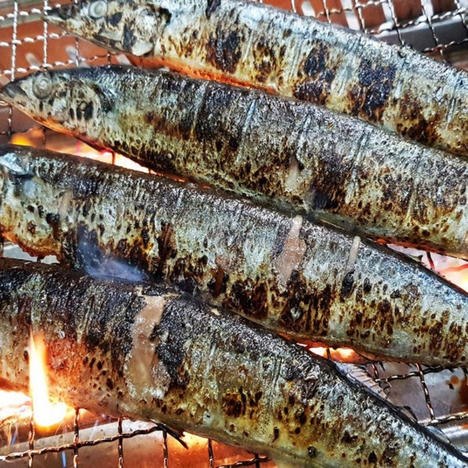 싱싱햇 손질꽁치 생물 꽁치 생꽁치, 손질후, 1세트, 700g(7미내외)