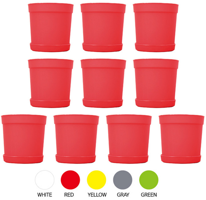 모두다 담따 플분 베이직2호, 10개