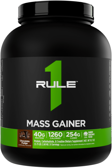 Rule1 룰원 매스게이너 초콜릿퍼지 2.6kg, 1개