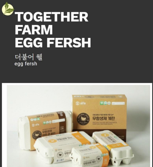 푸드번창 무항생제 신선 계란10구, 1개, 10구