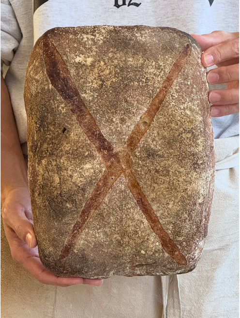 [루바브]사워도우 루스틱 슬랩 730g 유기농 통밀 유기농 호밀 식사빵 [원산지:상세설명에 표시], 750g, 1개