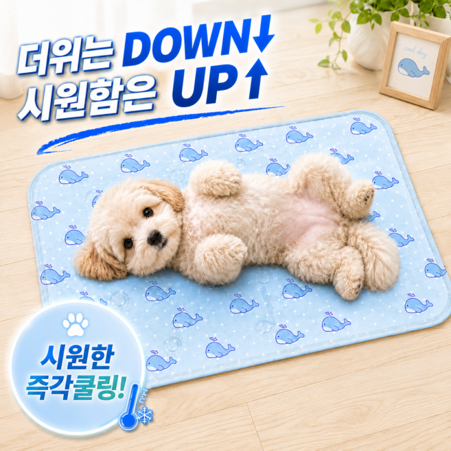 모디케이 강아지 냉감패드 쿨링 쿨매트, 1개, 고래