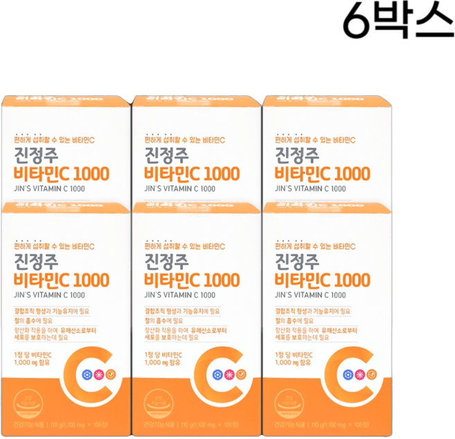 비타민 진정주 비타C1000 (6박스 600정), 100정, 1세트
