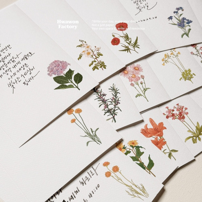 화원팩토리 캘리그라피 꽃 엽서 캘리용 인쇄엽서 20종, D
