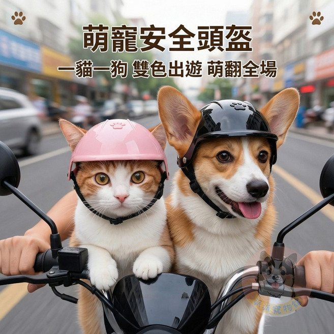 萌寵安全帽 貓狗兜風配件, 粉,大, 1個