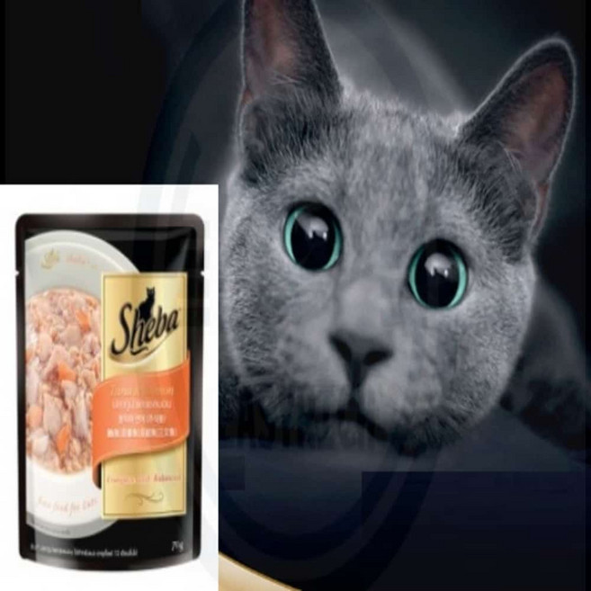 포근한잡화점 참치와 연어 파우치 70g 낱개 부드러운사료 기호성좋은간식, 1개