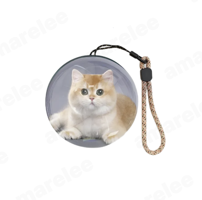 소울메모리볼 크리스탈공비디오 추억보관 고화질스크린 볼 오렌지 메모리볼 블루 크리스탈볼, 블루 4GB, 1개, 1TB