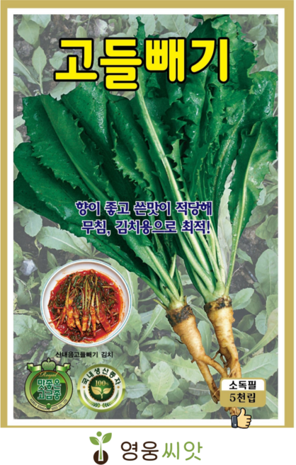 식물의집 고들빼기 씨앗 고들빼기 씨 민속채소씨앗 씨, 1개