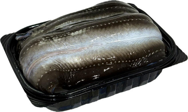 통영 자연산 손질 바다장어구이 국내산 아나고 붕장어, 1개, 550g