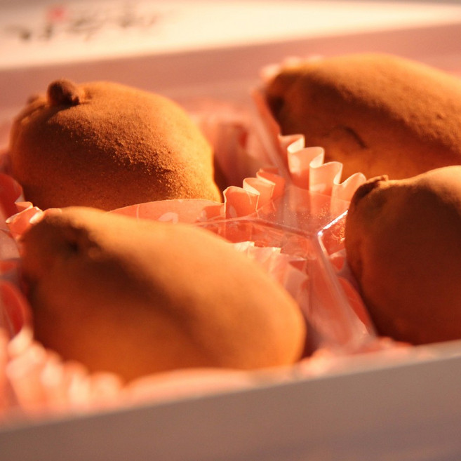 이상복 계피빵 20개(10개입 2박스) 경주빵 특산품