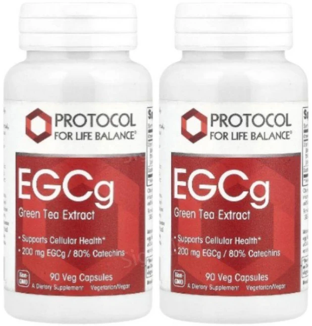 프로토콜 녹차추출물 EGCG 그린티 90캡슐 2개 카테킨 GreenTea, 90정 - 쿠팡