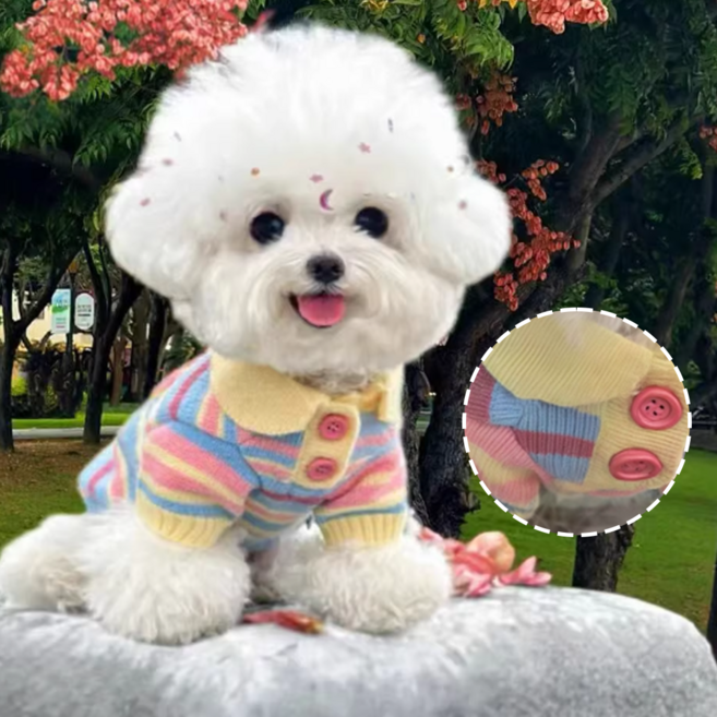 반려동물 무지개색 스웨터, 1개, Pink