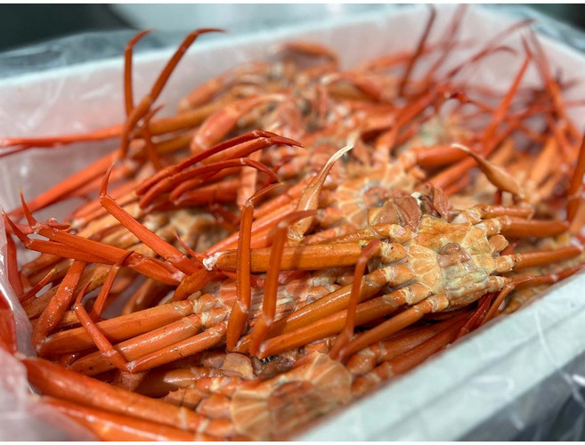 [산지직송] 연지홍게 자숙 3Kg, 1박스, 10마리내외