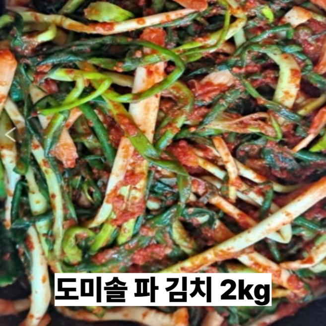 국산 파김치 2kg 도미솔 (:국산) 178068
