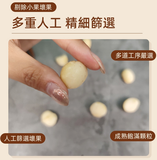 食草部落 夏威夷果 低溫烘焙, 1個, 無調味