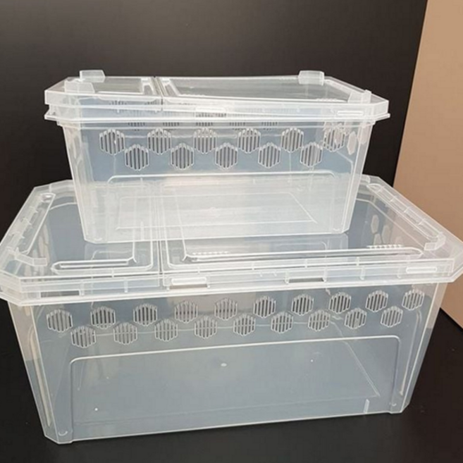 파충류 사육장 도마뱀 리빙박스 절지류 파충류 케이지 곤충 소동물 운반용 이동용 사육용 거북이 채집통, H20 대형