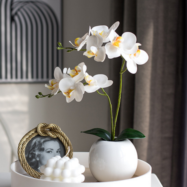 브리즈앤비 호접란 조화화분세트 스톤 유광도자기 화병세트, 1개, 화이트