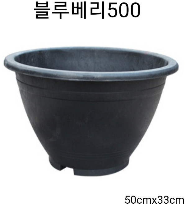 블루베리500 대형화분 플라스틱화분