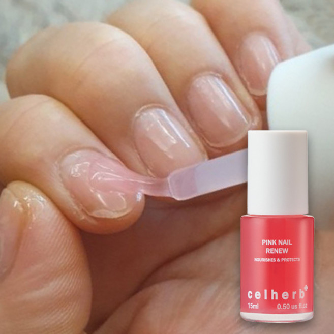 셀허브 핑크네일 리뉴 손톱영양제 강화제 15ml, 1개