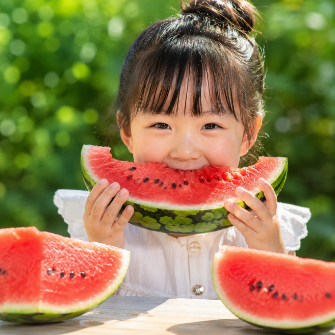 [산지직송] 국내 고당도 가정용 하우스 수박 12브릭스, 1개, 8kg