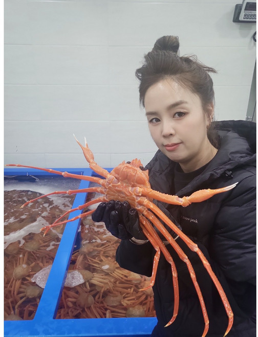 제철 포항 자숙 홍게 2kg 3kg 박달 대게 연지 후포 홍게다리 선주직송, 1박스, 육수용 자숙홍게3KG 10미내외수율4~50%
