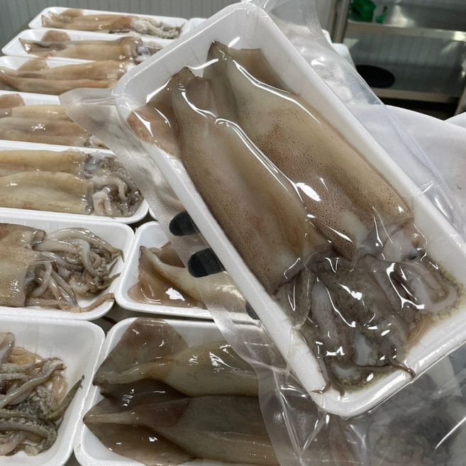 영태푸드 두툼한 자연산 손질 통오징어 270g x 3팩(총 6마리), 1박스