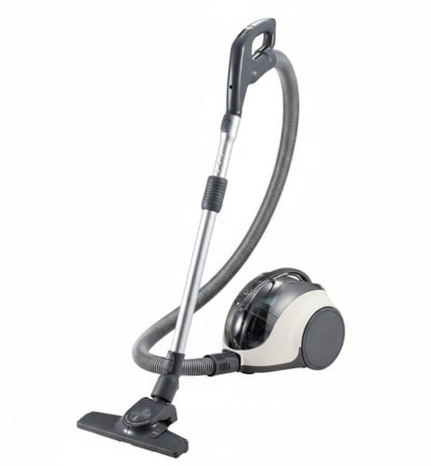 LG전자 싸이킹 싸이클론 진공청소기, C40WGY, bg