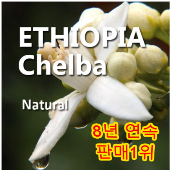 로스팅반 에티오피아 예가체프 G1 원두커피 100g 첼바 내추럴 분쇄도, 2개