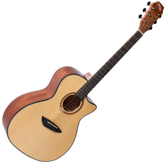 Gopherwood G100 NS 고퍼우드 기타 G-100 NS 무광, NA(유광)