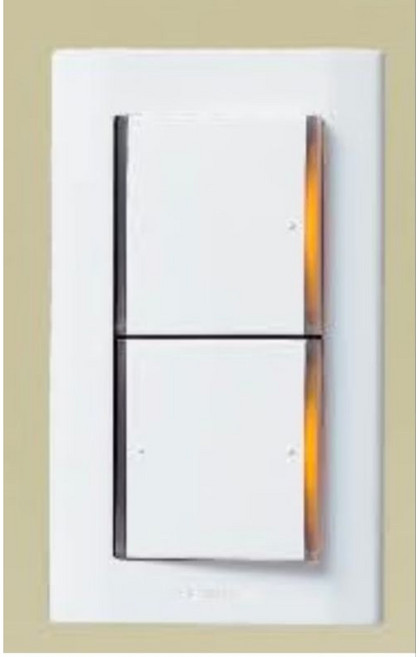 國際牌星光開關 2切 2開 附蓋板, 1個, WTDFP5252K2切110V