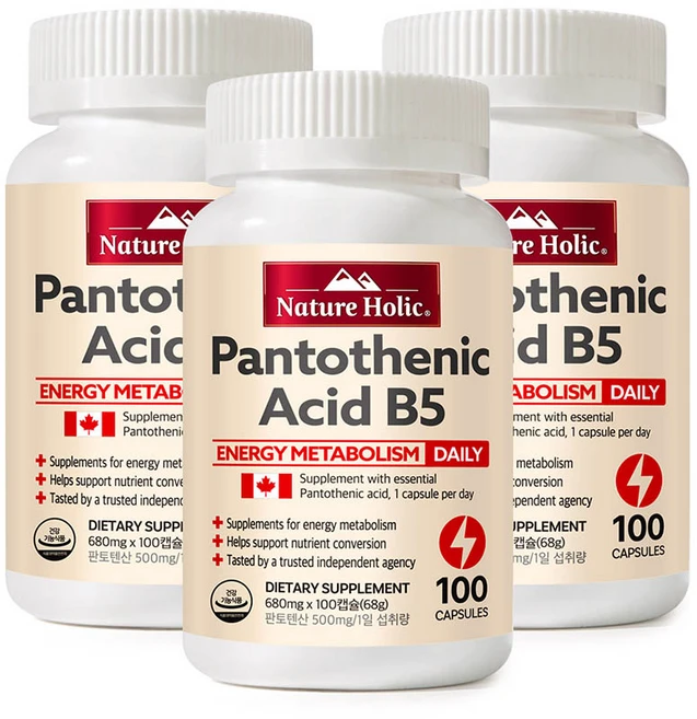 네이처홀릭 판토텐산 B5 3병 총 300캡슐, 100회분, 3개 - 쿠팡