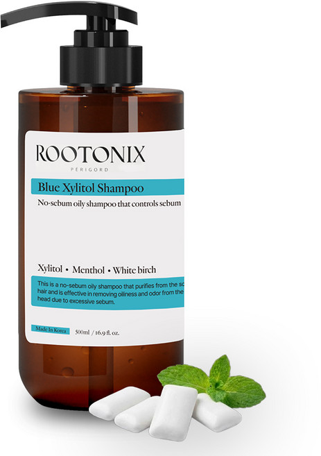 루토닉스 지성 두피 쿨링 탈모 청소년 자일리톨 샴푸, 1개, 500ml