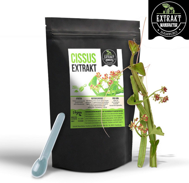 독일 푸드프로그 시서스가루 분말 씨서스 시저스 시져스 추출물 250g, 1개