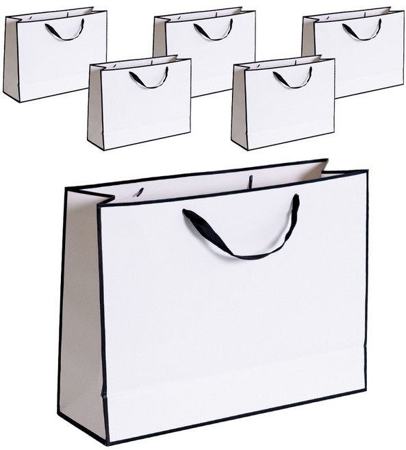 VITALO 시그니처라인 쇼핑백 선물용 답례품 두꺼운 고급 종이가방 튼튼한 쇼핑백 6P, 6개, PGC_WH(화이트)