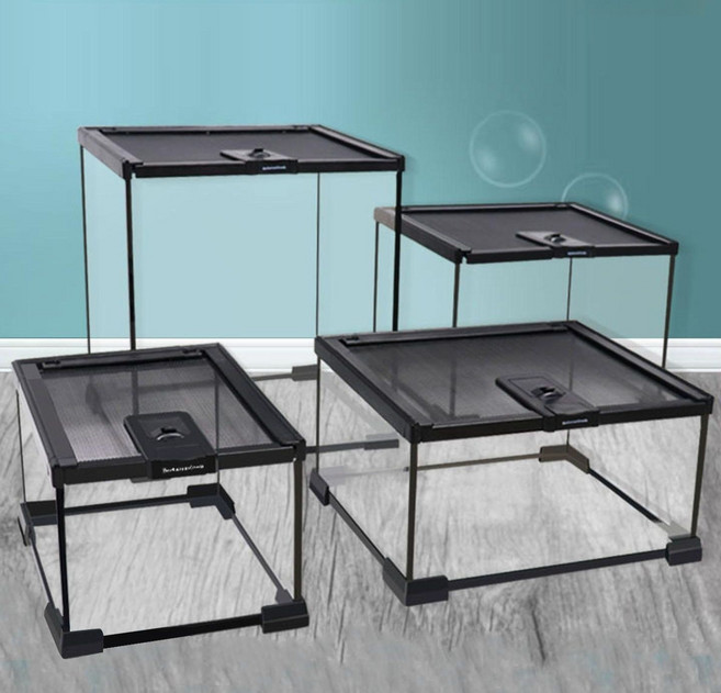 곤충 사육통 파충류 유리 비바리움 곤충보관함 30x30cm 파충류 30 도마뱀 소형 사육장 성체, 1개, I_개구리 사육 세트 1