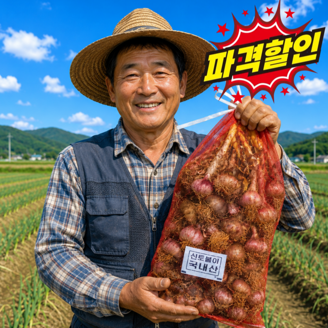 [하루딱50박스초특가] 장인선별 국내산남해 대서마늘 햇마늘, 1개, (특품)반접(50개내외)